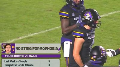 ESPN Actually Used the Word 'Strigiformophobia' on Clever In-Game Graphic