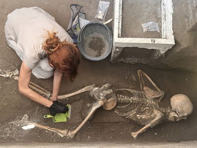 DNA evidence from Pompeii indicates victims were not who they appeared to be