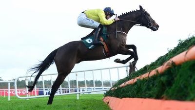 Irish Horse Marine Nationale Back In Action At Naas On Sunday