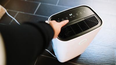 Dehumidifier vs air purifier: What’s the difference?