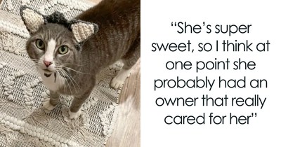 This Rescue Cat Was Missing Her Ears, But Her Family Made Sure To Solve It In A Creative Way