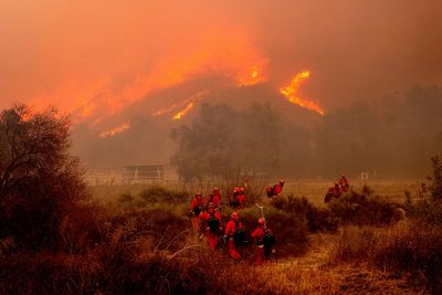 Ventura County resident describes chaotic escape with six pets from Mountain Fire