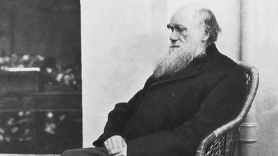 Charles Darwin quiz: Test your knowledge on the 'father of evolution'