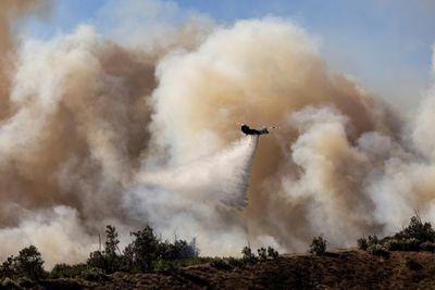 Over 130 Homes Lost In California Wildfire: Officials