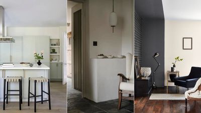 I've just found the perfect neutral paint color – and to my surprise designers love it just as much as me