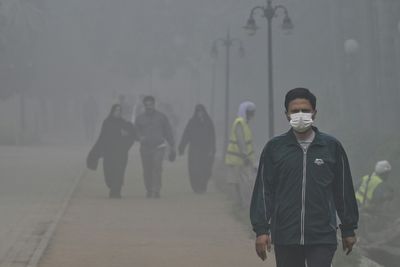 Heat, Air Pollution, Disease: How Climate Change Affects Health