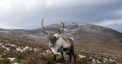 Why these 'magical' Scottish spots are among the best places to visit at Christmas