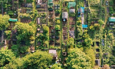 Plot luck: two new allotment sites to be won for growers in England and Wales