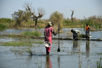 South Sudan Floods Affect 1.4 Million, Displace 379,000: UN