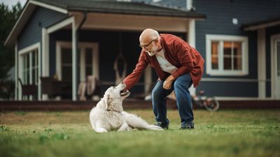 How people treat their pets is related to the parenting style they experienced in childhood, according to new research