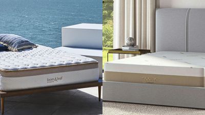 Saatva Loom & Leaf vs Saatva Contour5: Which memory foam mattress should you buy in Black Friday sales?