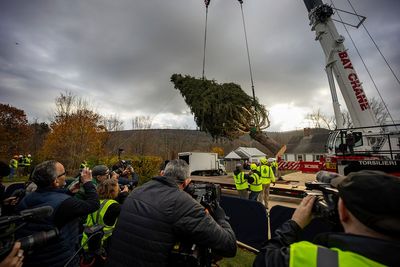 Haul out the holly! Rockefeller Center Christmas Tree arrives in New York City