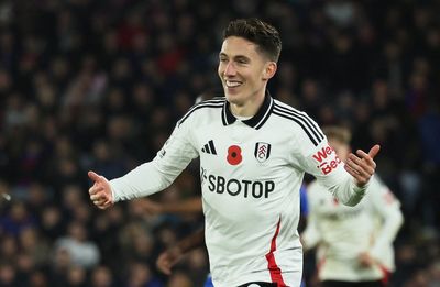 Crystal Palace 0-2 Fulham: Harry Wilson delivers off bench against as pressure builds on Oliver Glasner