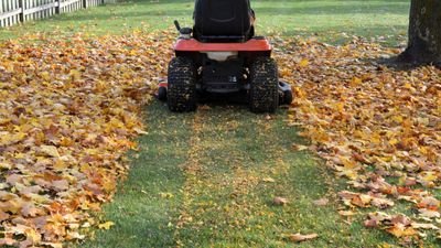 Unusual uses for a lawn mower – experts reveal 6 bonus functions to make your mower more useful in winter