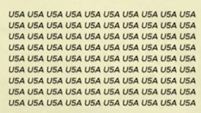 Optical Illusion: Can you spot ‘USA’ in this image?