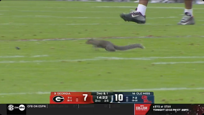 Ole Miss officially has a squirrel problem after yet another game delay