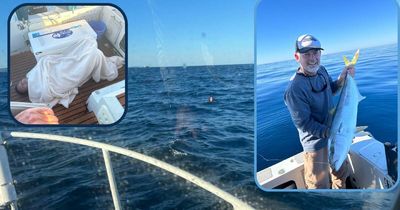 Doctor's lucky rescue saves lost sailor from certain death at sea