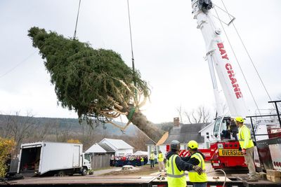 Rockefeller Plaza’s iconic Christmas tree arrives in New York City in time for festive season