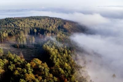 Hiker Found Dead In Mount Hood National Forest