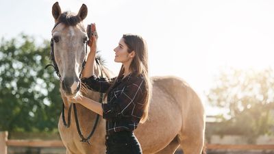 Our top tips for taking care of your horse