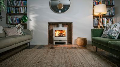 'What I wish I had known before buying a log burner for my home' reveals an interior expert