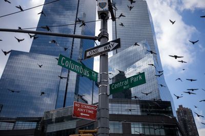 Fears New York buildings’ deadly toll on migratory birds could be on the rise