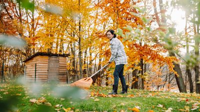 Time for Some Fall Financial Maintenance: Here's a Checklist