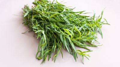 How to grow and care for tarragon for the best harvests of sweet aniseed leaves