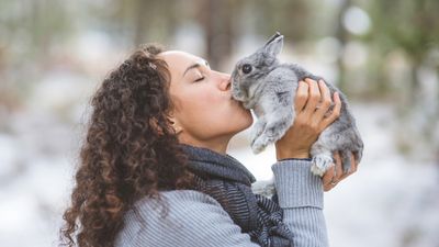 Rabbit winter care: How to keep your bunny warm and happy