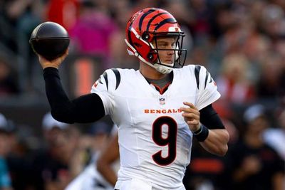 Can The Cincinnati Bengals Make The Playoffs?