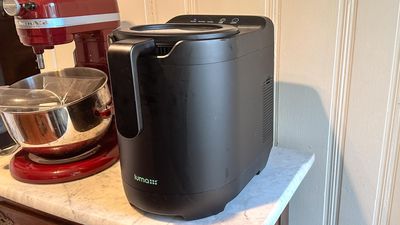 This in-home composter has been a game-changer for my kitchen