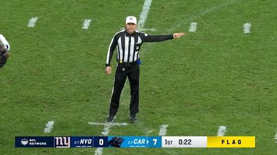 NFL Ref Wows Fans by Calling Penalty in German During Panthers–Giants Game