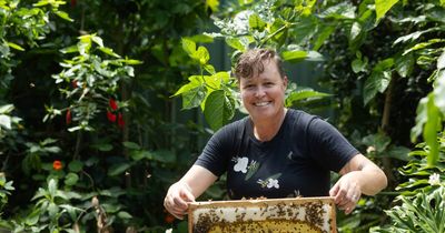 Cardiff beekeeper to travel Asia and bring back knowledge of mite management