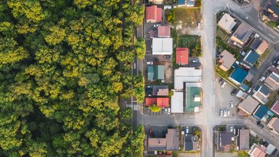 'The prescription is nature': How satellites can show us the healing effects of nature