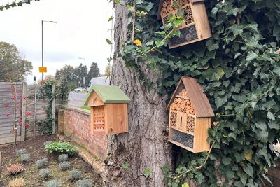 £5m scheme boosts nature for hundreds of communities across UK, report shows