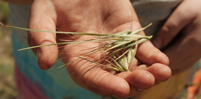 Practising culture on Country can improve Aboriginal people’s health and wellbeing