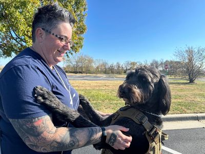 'I got my life back.' Veterans with PTSD making progress thanks to service dog program