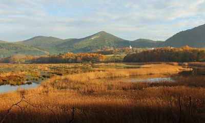 The Basque Country nature reserve at risk from Guggenheim expansion plans