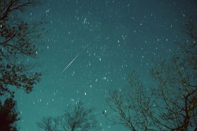 Leonid meteor shower: When does it peak and how can you catch a glimpse?