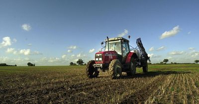 UK Government's Budget 'destroys' remaining EU funding for farmers, say SNP