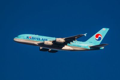 Korean Air passenger restrained after attempt to open emergency exit door on Seoul flight