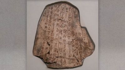 Oracle bones: 3,250-year-old engraved bones and tortoise shells from ancient China were used to foretell the future