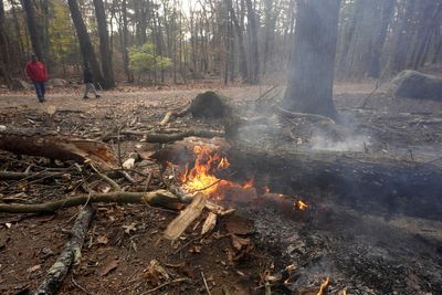 Fire crews on both US coasts battle wildfires, 1 dead; Veterans Day ceremony postponed