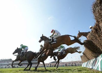 2024 Paddy Power Gold Cup Runners For Cheltenham Feature