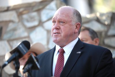 Tom Homan Outlines Plans To Handle Illegal Immigration