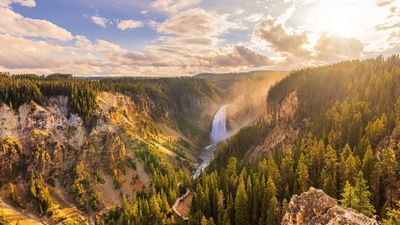 Man banned from Yellowstone for something many visitors do