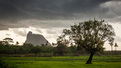 West African hiking hotspot under immediate threat from rapid deforestation