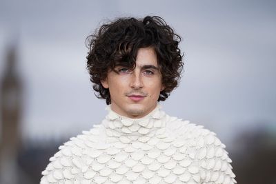 Timothee Chalamet was told he did not have ‘right body’ for blockbuster roles