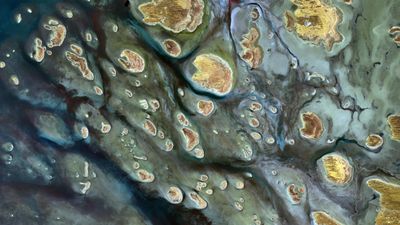 Earth from space: Giant 'phantom lake' dotted with stripy gold islands shimmers in Australian outback