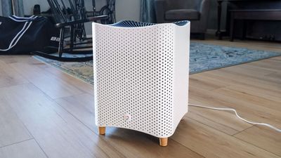 Mila Air Purifier Review